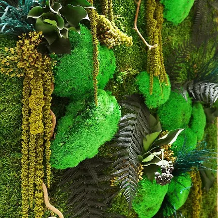 Jardins De Mademoiselle & Parigi