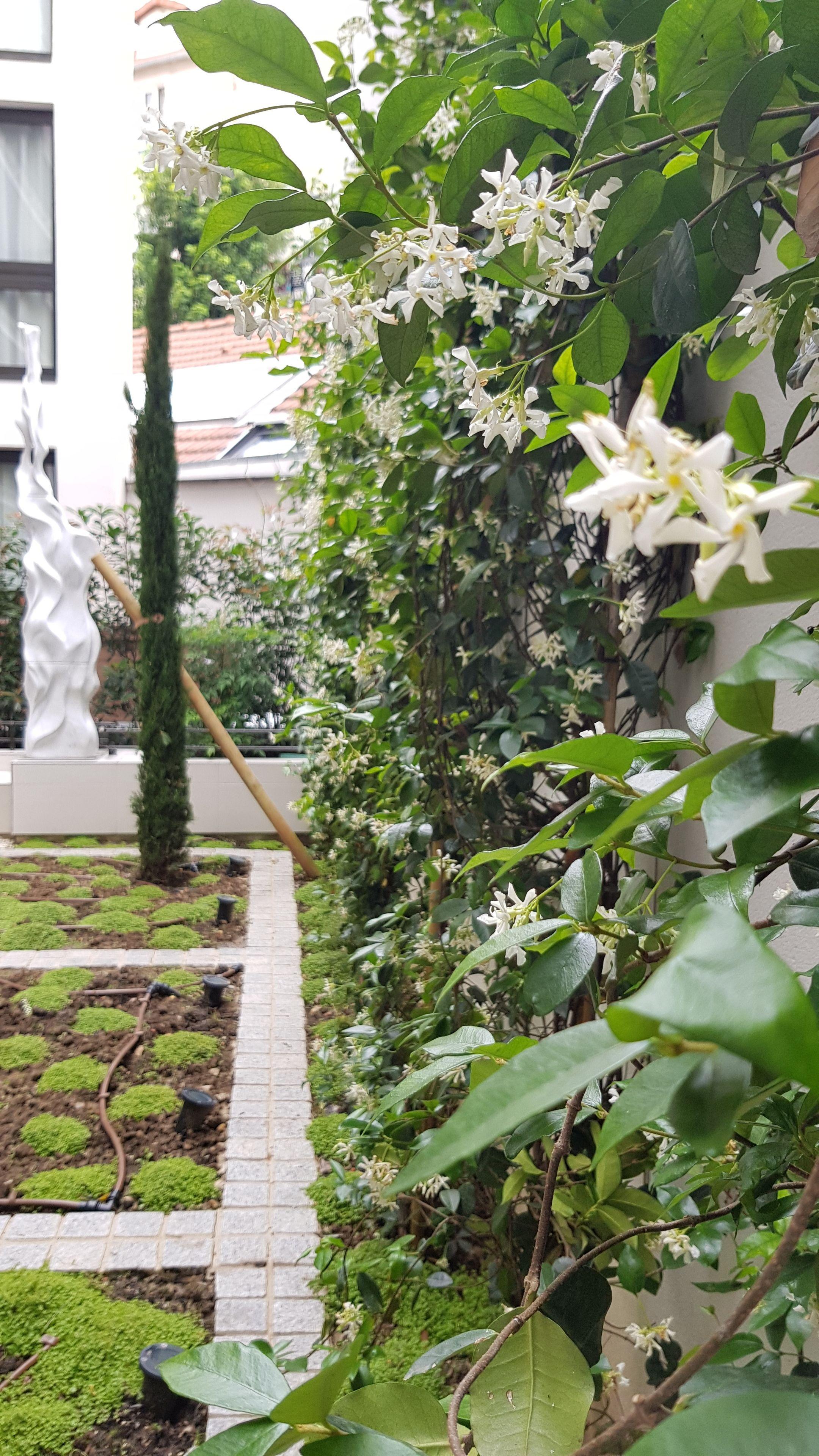 Hotel Jardins De Mademoiselle & Parigi