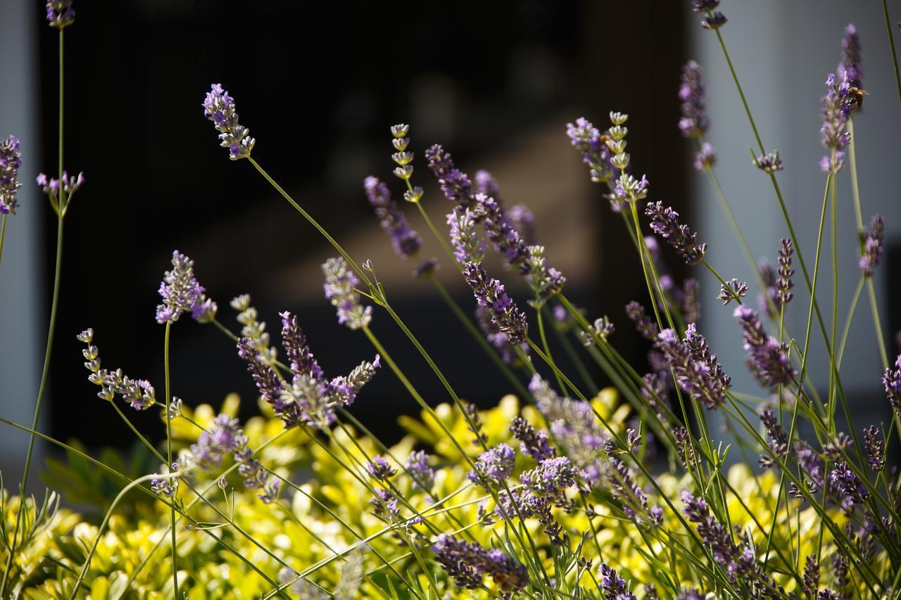Jardins De Mademoiselle &